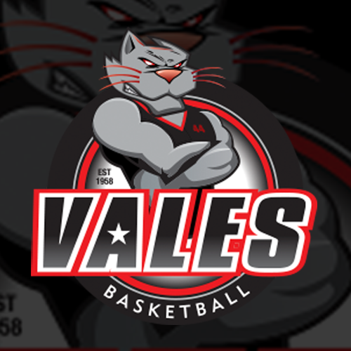 Vales Basketball